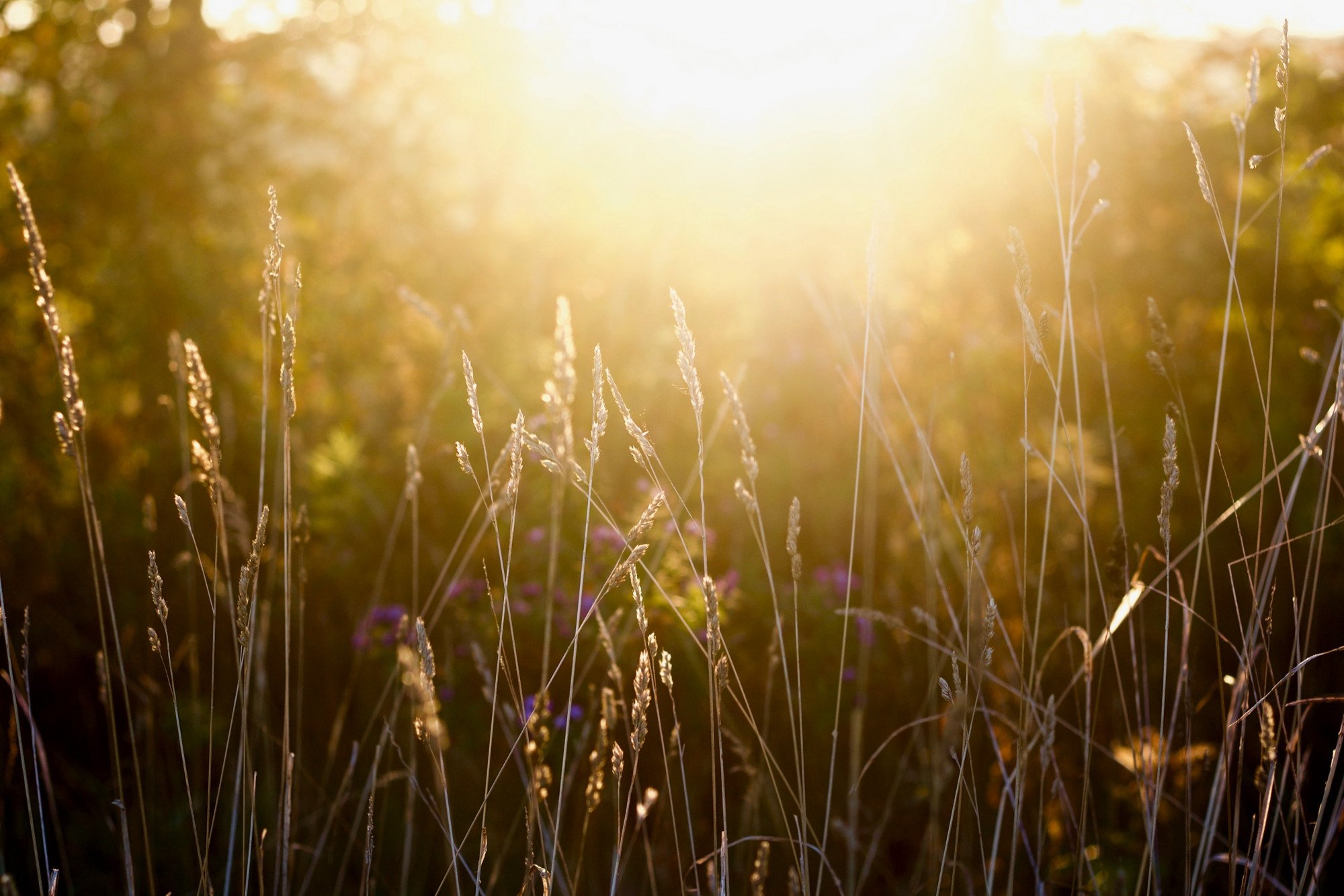 45 Deep Things To Be Thankful For That We Take For Granted