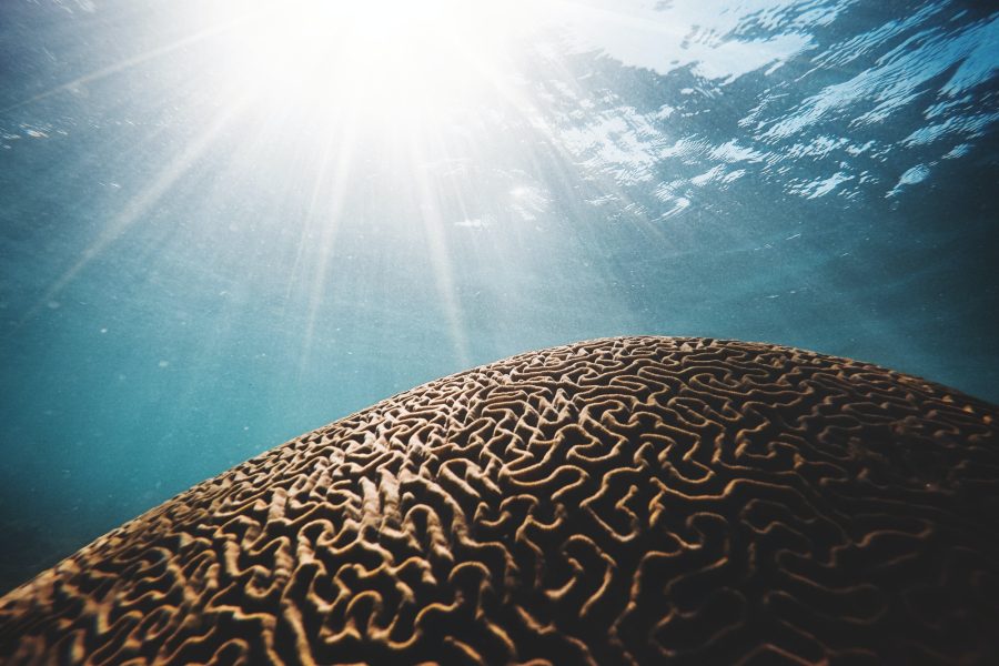 10 Steps To Get And Keep A Healthy Mindset